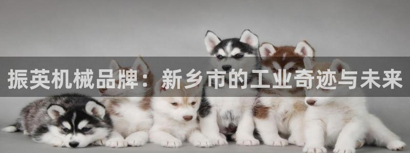 ag老队友