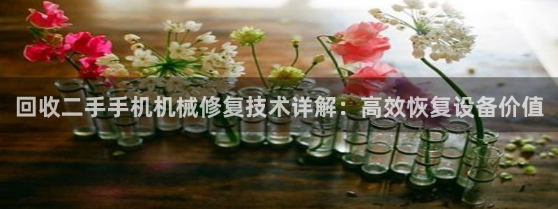 j9九游会跑路了吗
