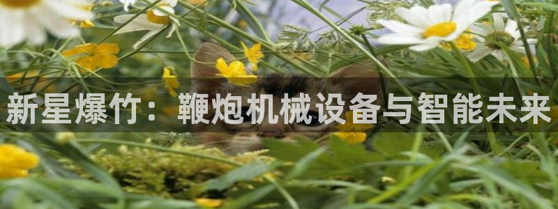 j9九游会不给提款