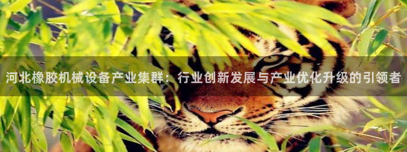九游会ag平台