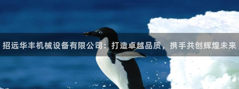 九游会usdt