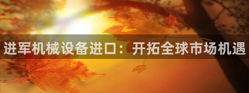 ag久游会