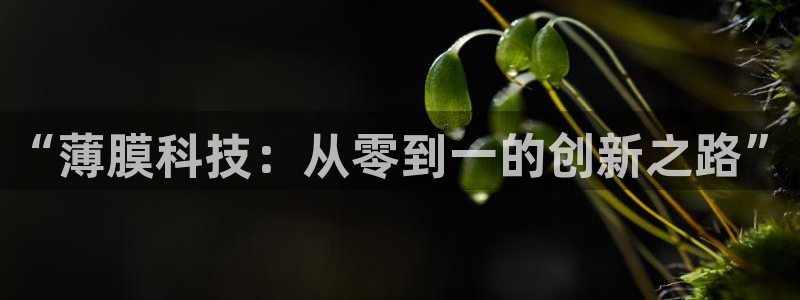 J9九游会登录首页