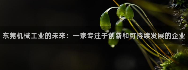 九游会可以提现吗