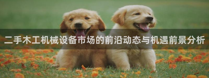 j9九游会app在哪